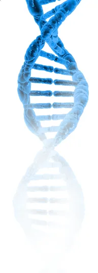 DNA